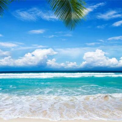 世界杯点球大决战